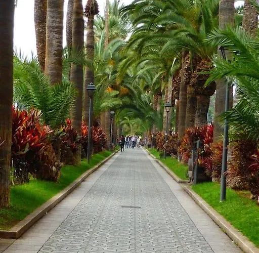 First Line * Puerto de la Cruz (Tenerife)