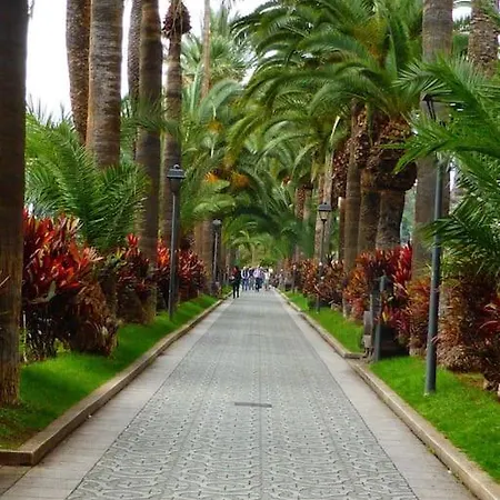 First Line * Puerto de la Cruz (Tenerife)